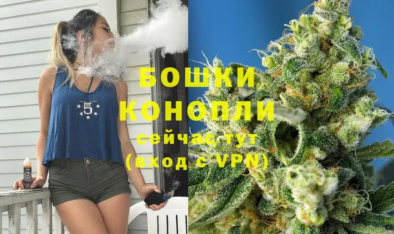 Бошки марихуана OG Kush  shop телеграм  Будённовск  хочу наркоту 